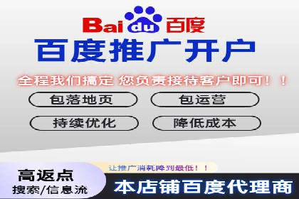 案例分析：高效信息流广告投放策略